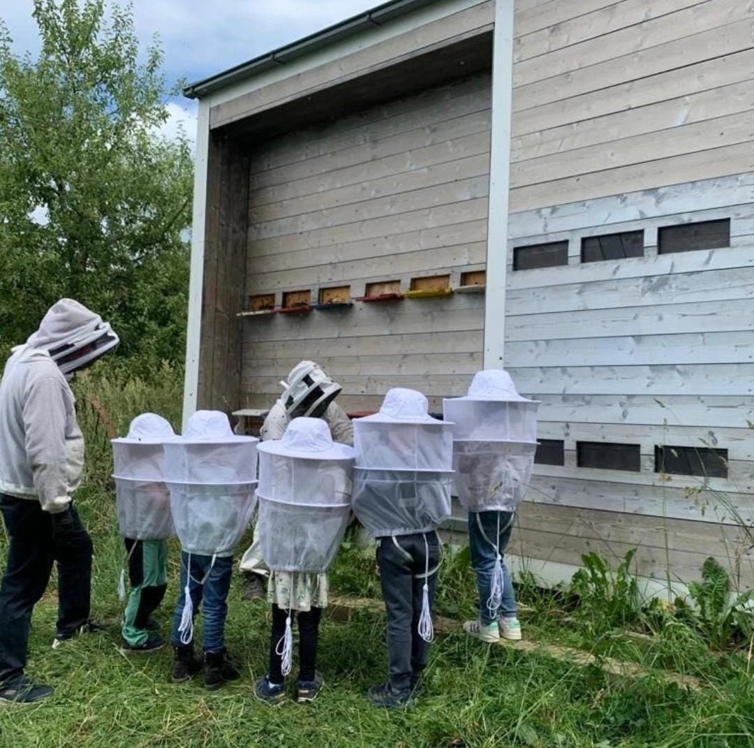 Schulklasse mit Schleier beobachtet vor Flugfront die Bienen